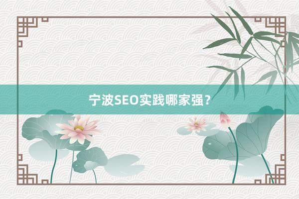 宁波SEO实践哪家强？