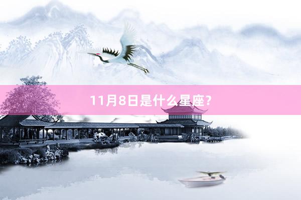 11月8日是什么星座？