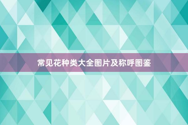 常见花种类大全图片及称呼图鉴