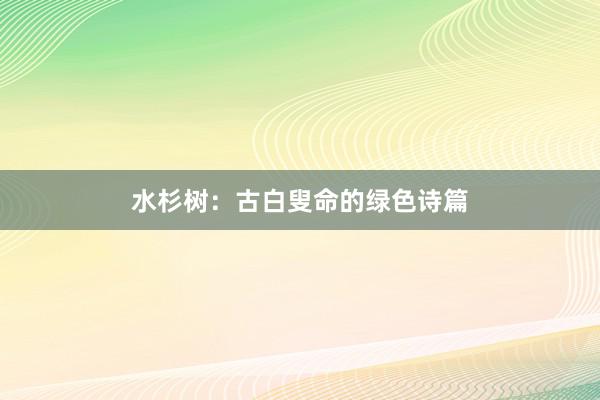水杉树：古白叟命的绿色诗篇